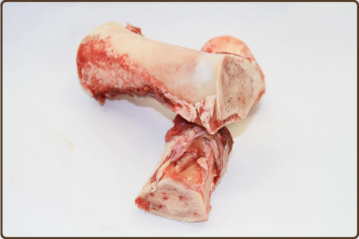 Marrow Bone