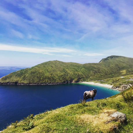 10 Beautiful Beaches of Ireland