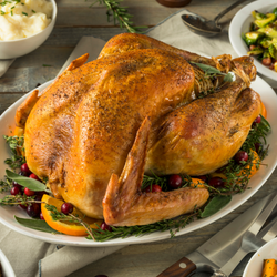 Thanksgiving Free Range White Turkey - Medium Min Weight 6kg (Feeds 10-12 people)